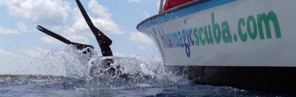 Blue Magic Scuba