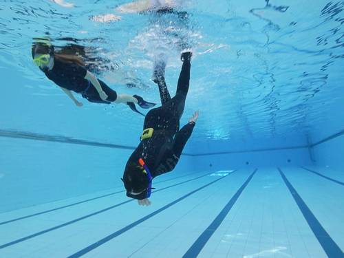 Scuba Fusion