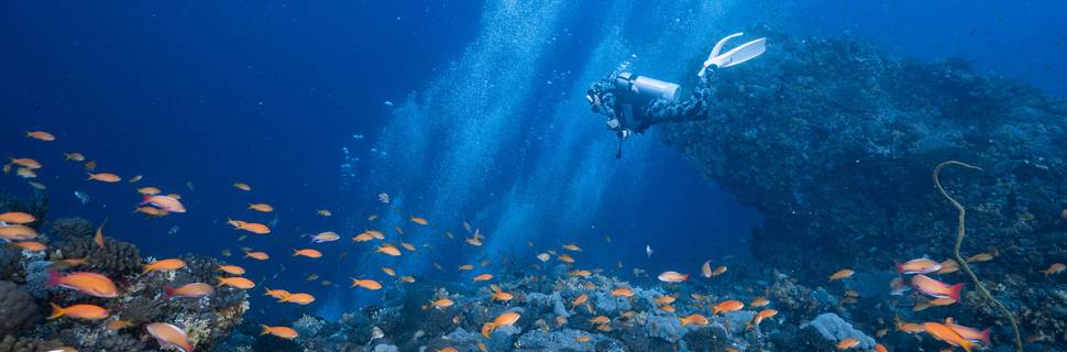 Taiwan Dive Center GreenIsland
