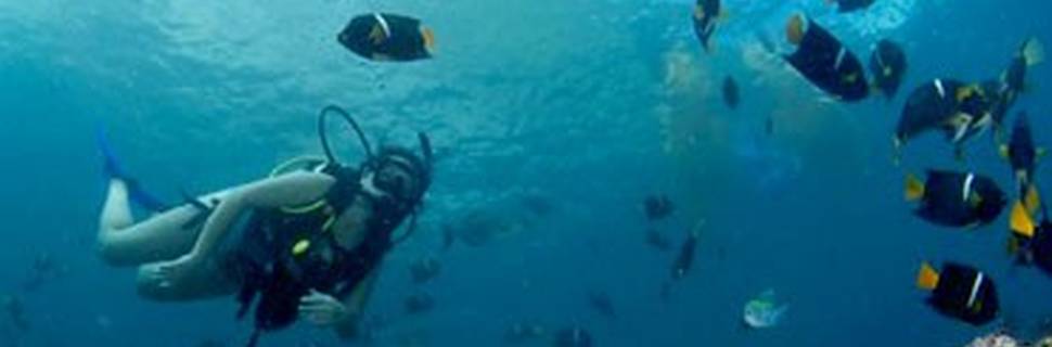 Vallarta Undersea