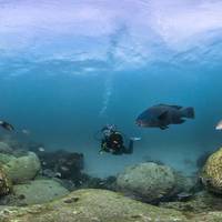 Dive Centre Manly