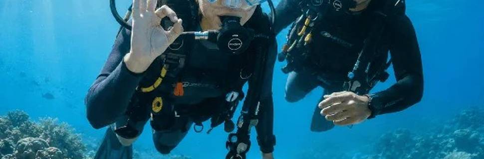 Whale Dive Centre