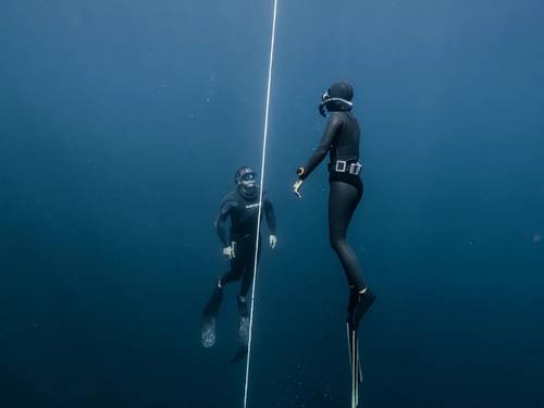 Ocean Tigers Dive House