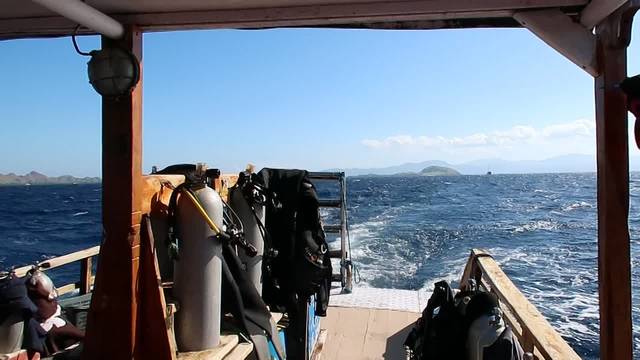 Bajo Dive Club