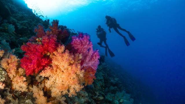 Story Divers - Diving Center Sharm el Sheikh