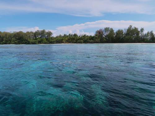 Tabari Dive Lodge