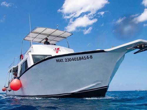 Cozumel Dive School