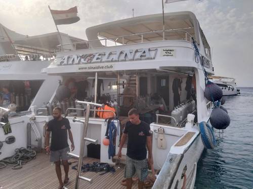 Dive Club Italiano Centro Sub - Sharm