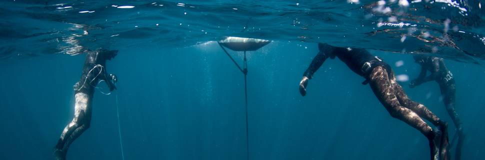 SPOT Freedive School - Freediving Portugal