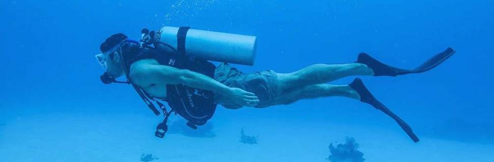 Geo Divers Sydney
