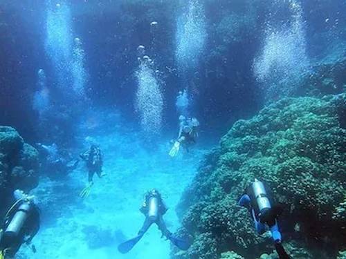 Aquarius Diving Club - Hurghada