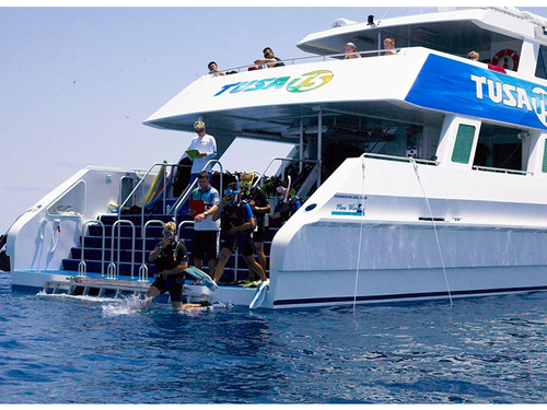 Tusa Dive