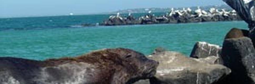 Chimney Rock Charters
