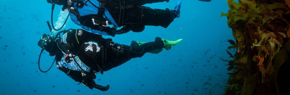 Kocher's Diving Locker, Ltd.