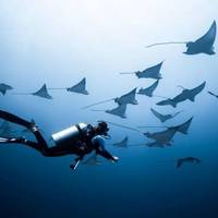 Submaldives