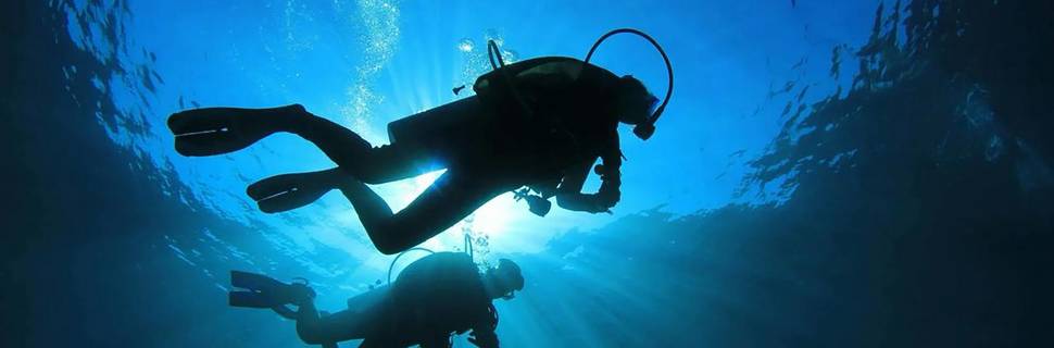 Fort Young Dive
