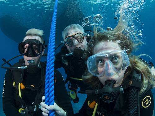 Divers United (Elite Diving)