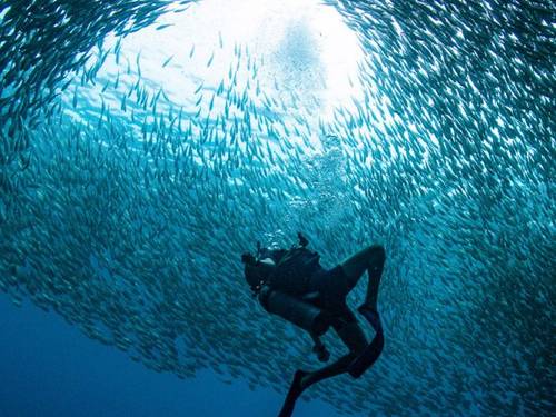 Ban's Diving Resort