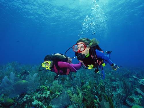 Blue Wave Diving