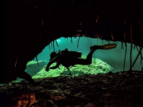 BUCEO-DIVING CENOTES PLAYA DEL CARMEN & MORE