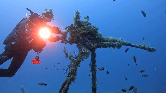 Dawn Diving