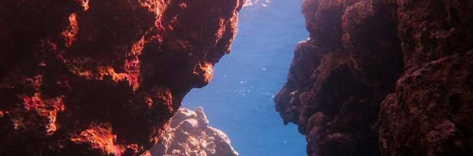 Deep Blue Divers