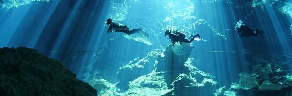 Wet Set Diving Adventures