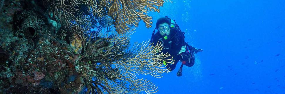 Punta Cana Scuba Diving By El Tour Caribe and Bayahibe