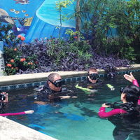 Captains Corner Dive Center