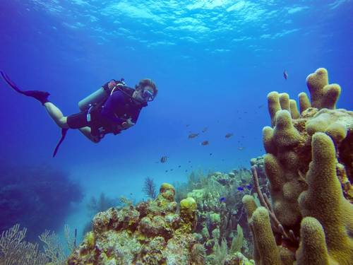 Belize Pro Dive Center
