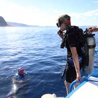 Dive Oahu