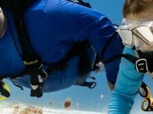 Maple Leaf Scuba