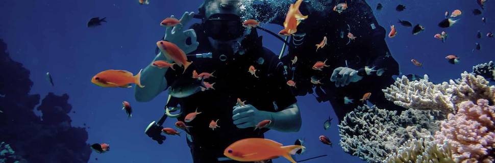 Marsa Adventure Divers