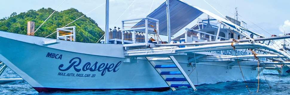 Harolds Diving Center