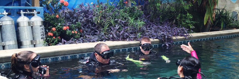 Captains Corner Dive Center