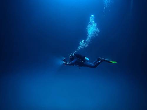 Royal Octopus PADI 5* star Dive Center