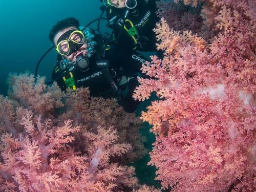 Buzios Divers