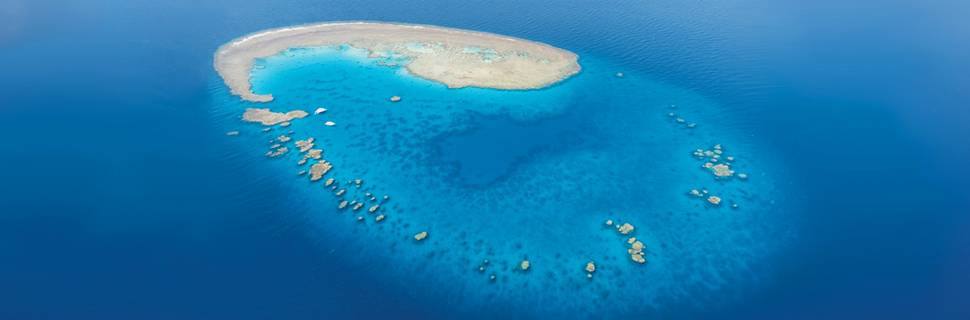 Blue Ocean