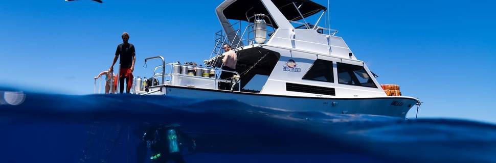 Seasport Divers