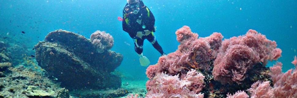 Scuba expert/krabi