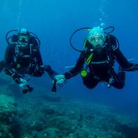Diving Stones