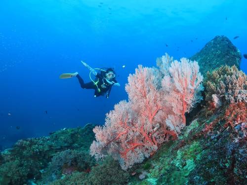 Bangtao Dive Center