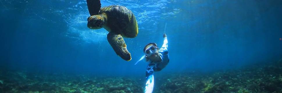 Green Lagoon Lembongan