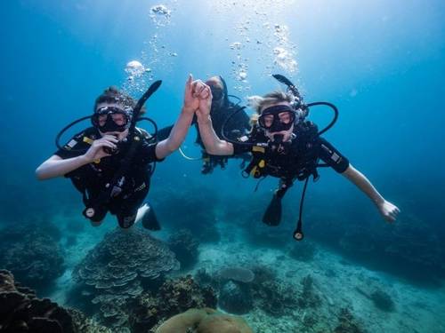 Isla Tortuga Divers