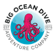 Big Ocean Dive