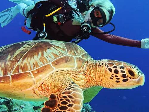 Palau Pacific Island Tour