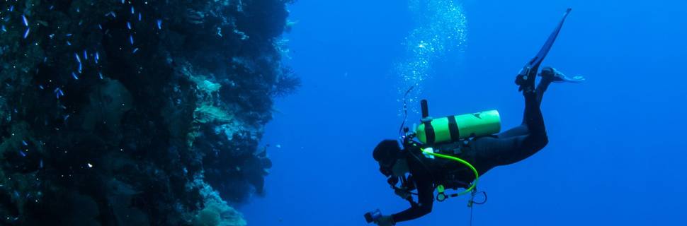 DiveTime Zanzibar Dive Center