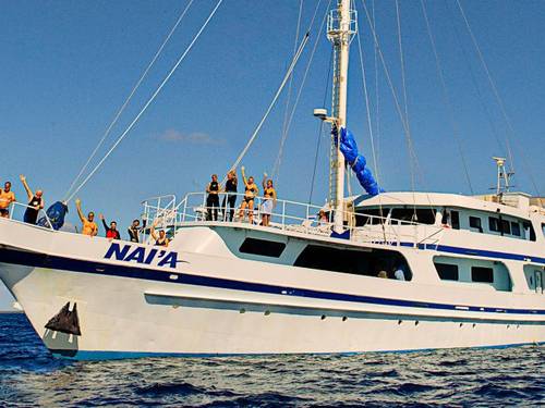 NAI'A