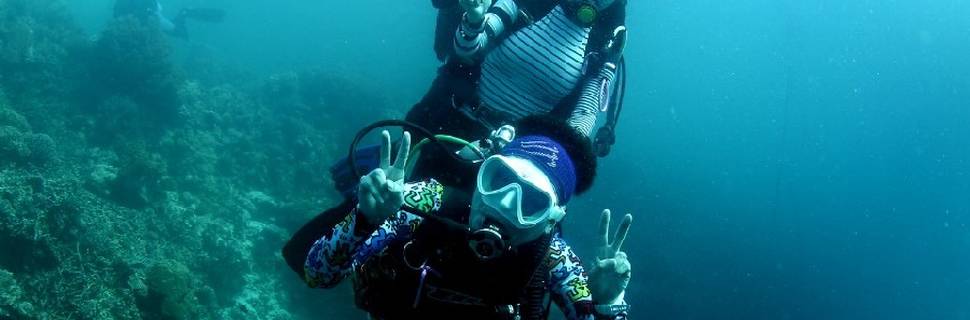 Panda Scuba