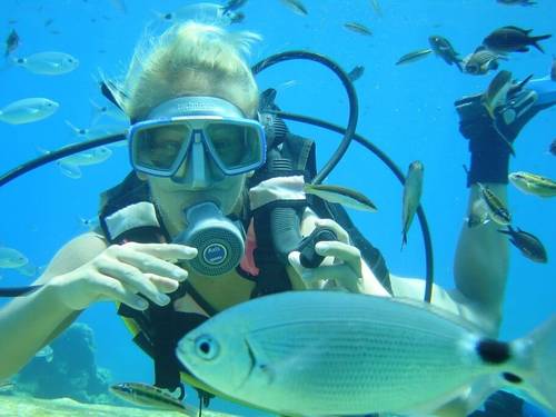 Alpha Divers